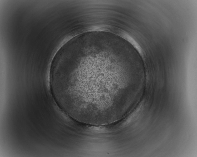 X0000093170994200710101209