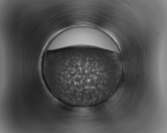 X0000093170995200710101209
