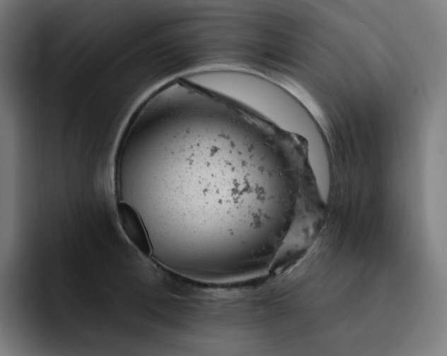 X0000093170996200710101209