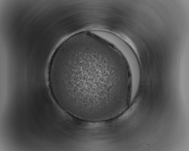 X0000093170997200710101209