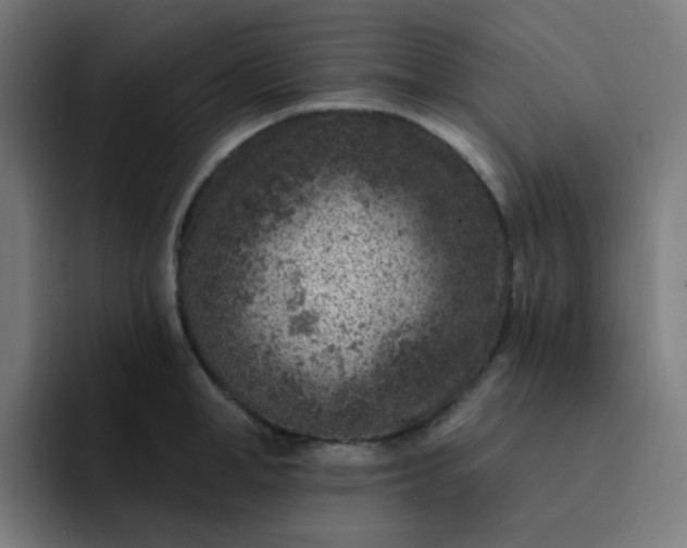 X0000093170998200710101209