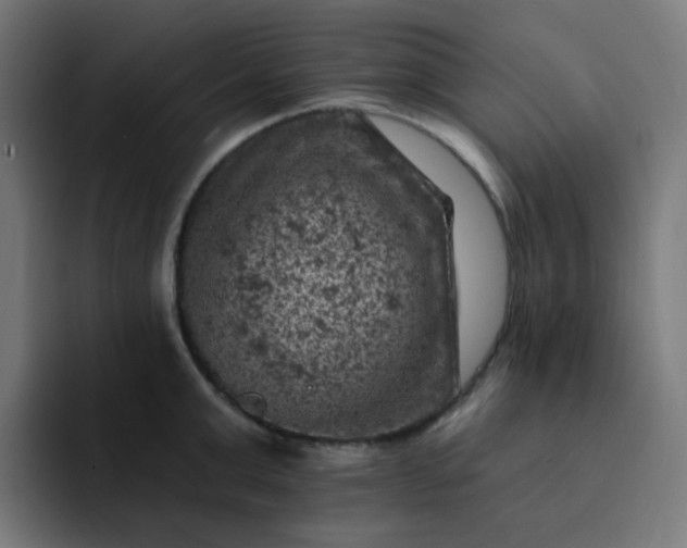 X0000093170999200710101209