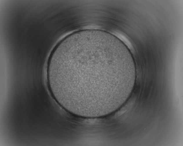 X0000093171000200710101209