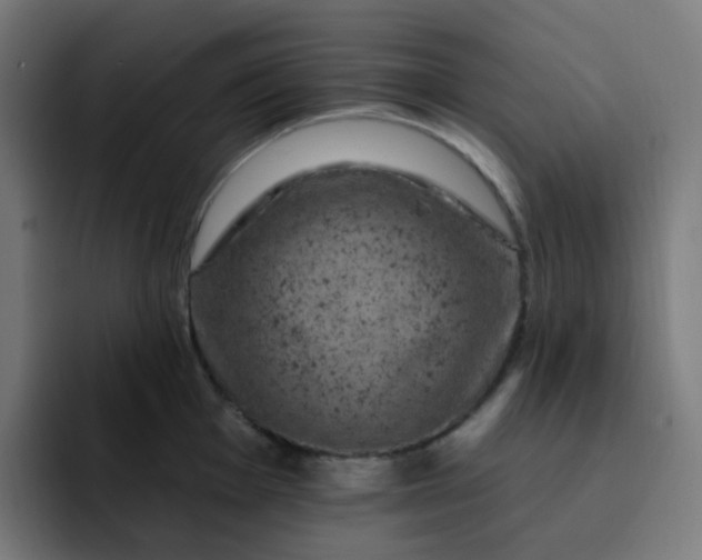X0000093171001200710101209