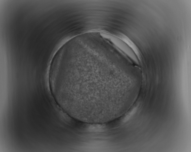 X0000093171002200710101209
