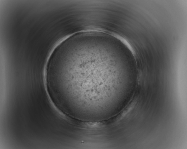 X0000093171003200710101209