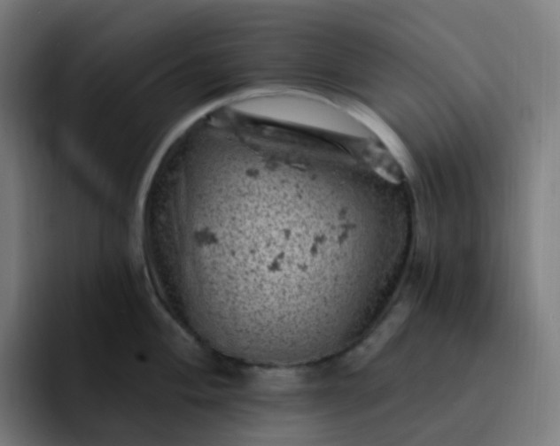 X0000093171004200710101209