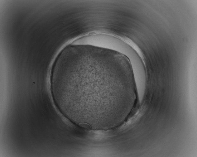 X0000093171005200710101209