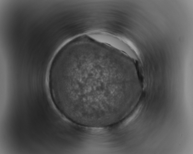 X0000093171007200710101209