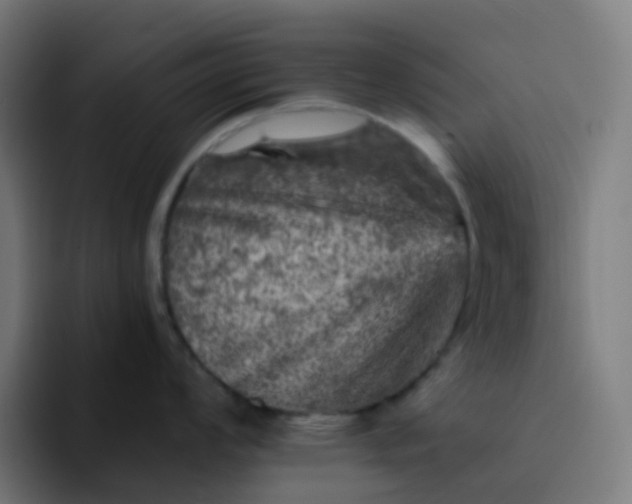 X0000093171008200710101209