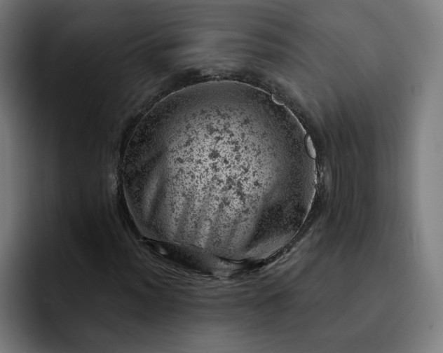 X0000093171012200710101208