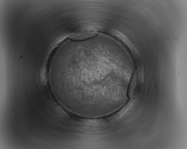 X0000093171018200710101208