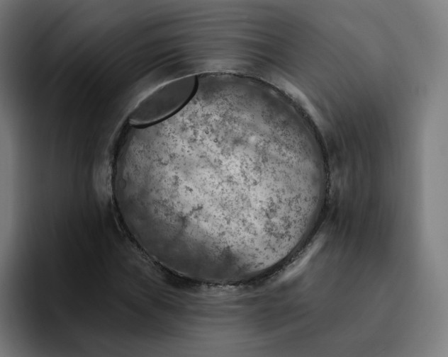 X0000093171019200710101208