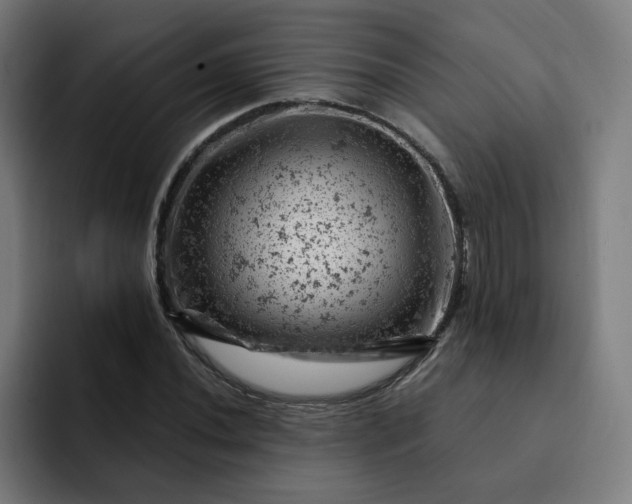 X0000093171020200710101208