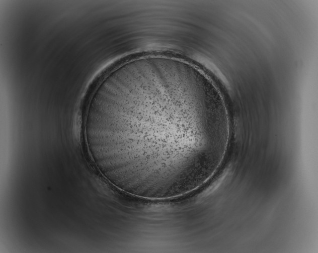 X0000093171021200710101208