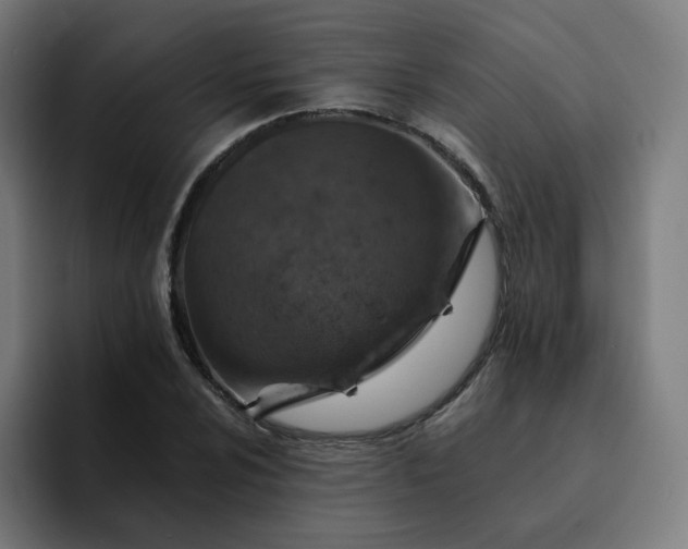 X0000093171024200710101208