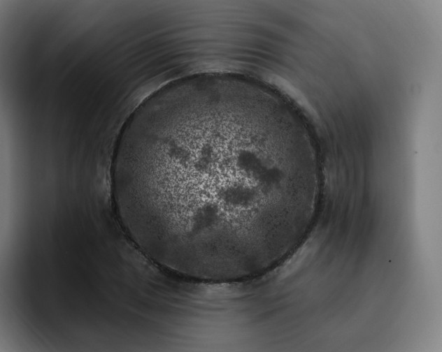 X0000093171025200710101208
