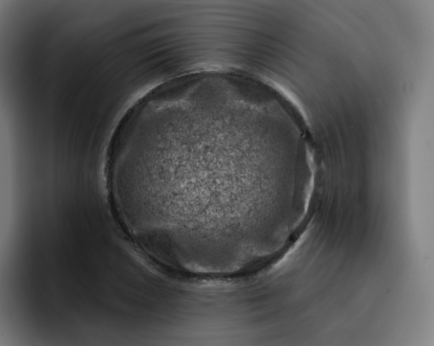 X0000093171026200710101208