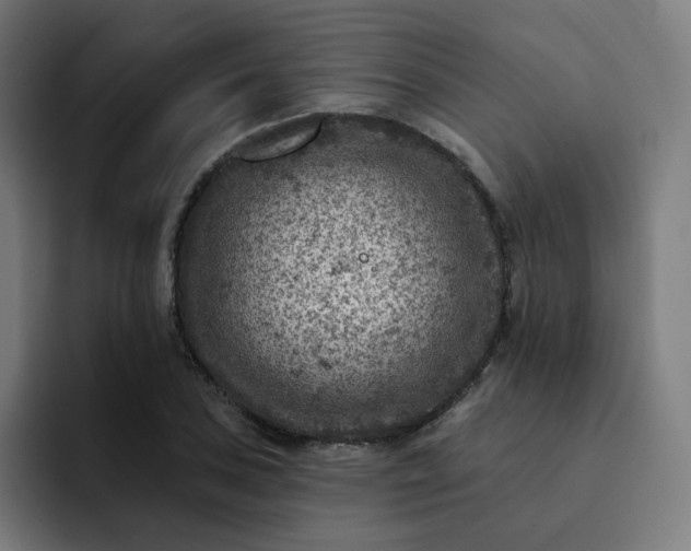 X0000093171027200710101208