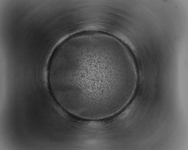 X0000093171029200710101208