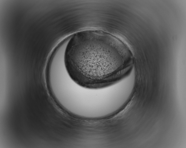 X0000093171030200710101208