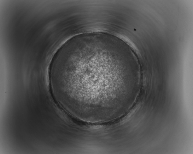 X0000093171031200710101208