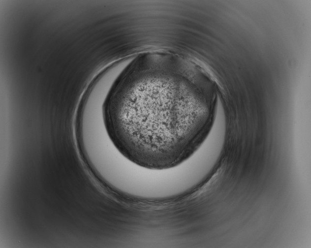 X0000093171034200710101208