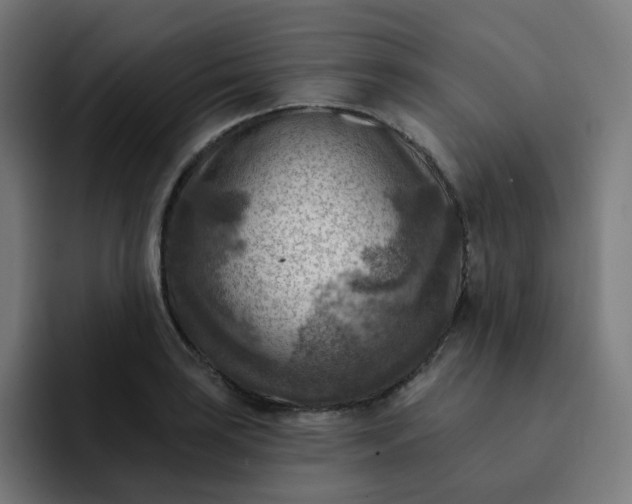 X0000093171035200710101208
