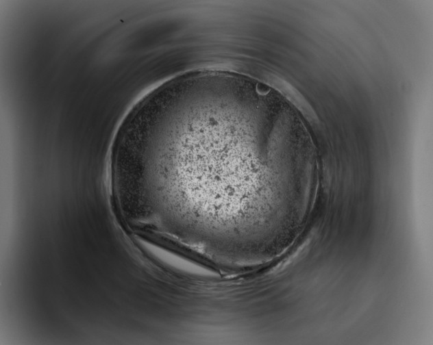 X0000093171036200710101208