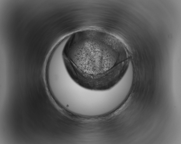 X0000093171038200710101208