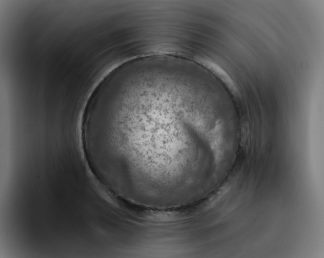 X0000093171039200710101208