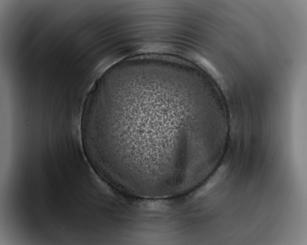 X0000093171041200710101209