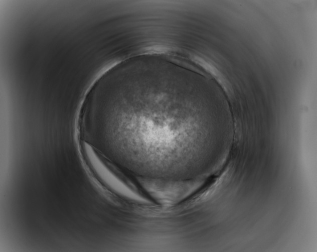 X0000093171042200710101209
