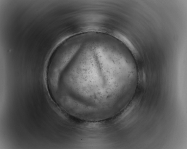 X0000093171043200710101209