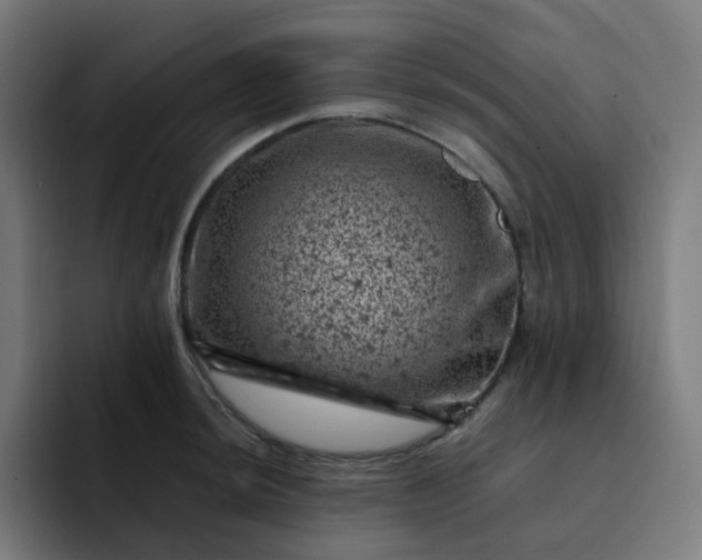 X0000093171044200710101209
