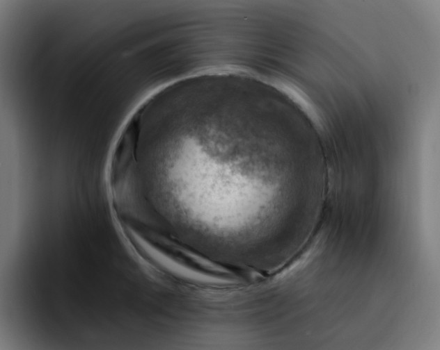 X0000093171046200710101209