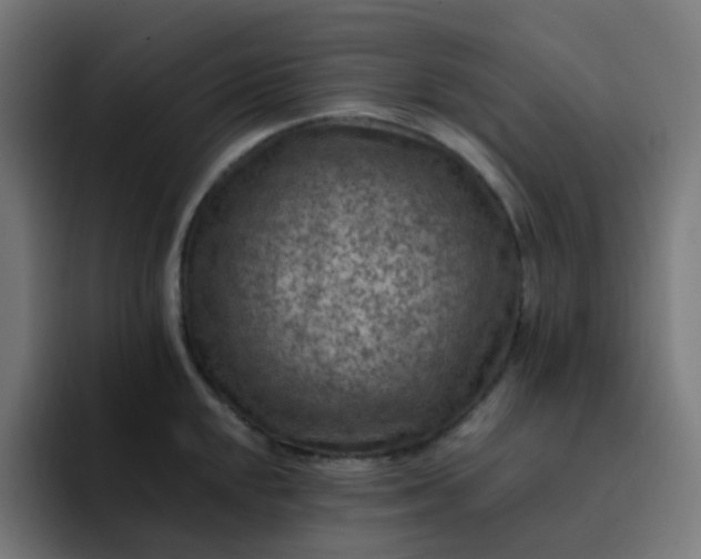 X0000093171048200710101209