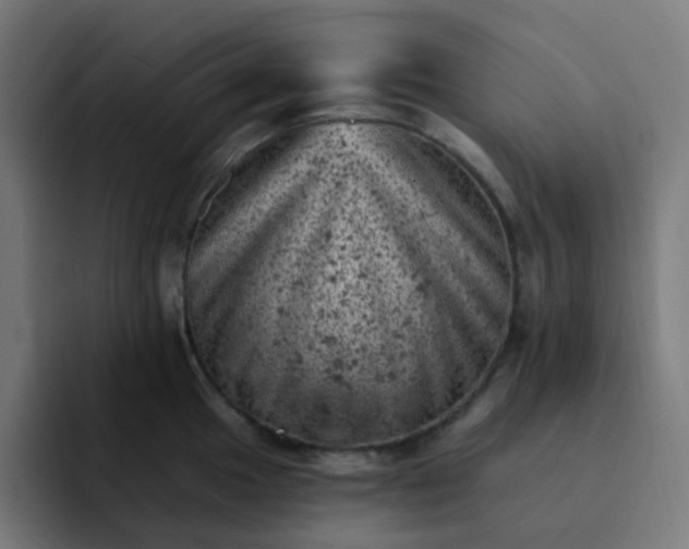 X0000093171049200710101209
