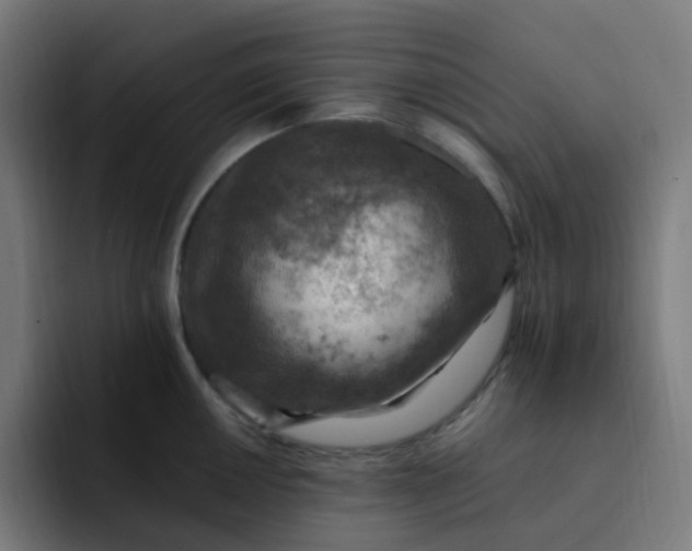 X0000093171050200710101209