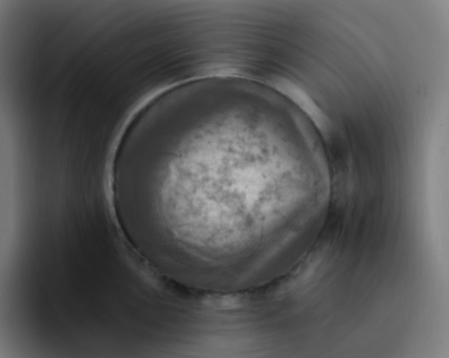 X0000093171051200710101209