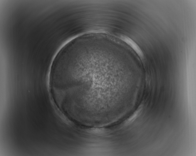 X0000093171052200710101209