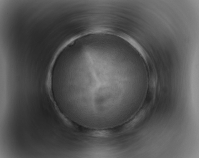 X0000093171053200710101209