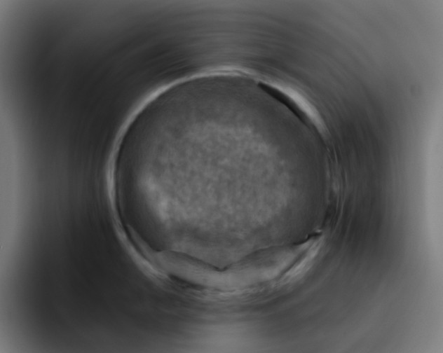 X0000093171054200710101209