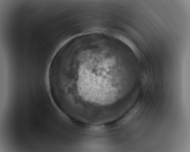 X0000093171055200710101209