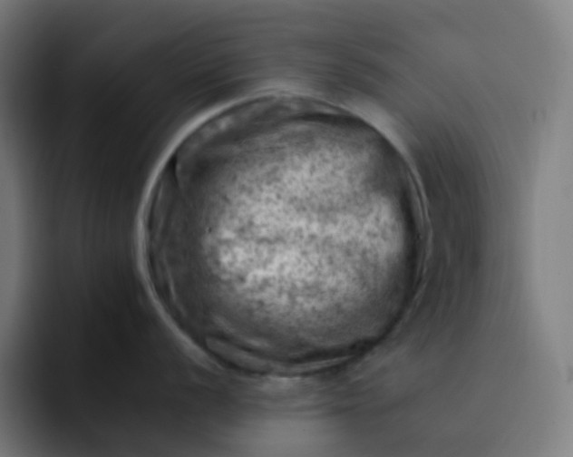 X0000093171056200710101209