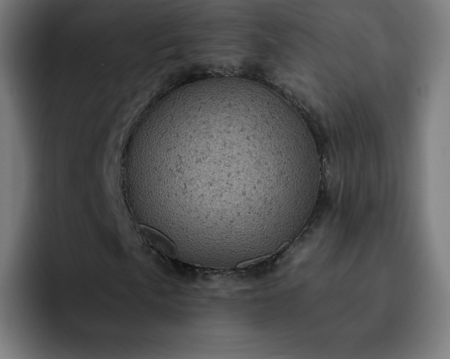 X0000093171057200710101208