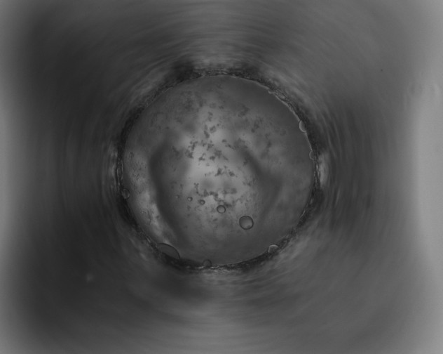 X0000093171059200710101208