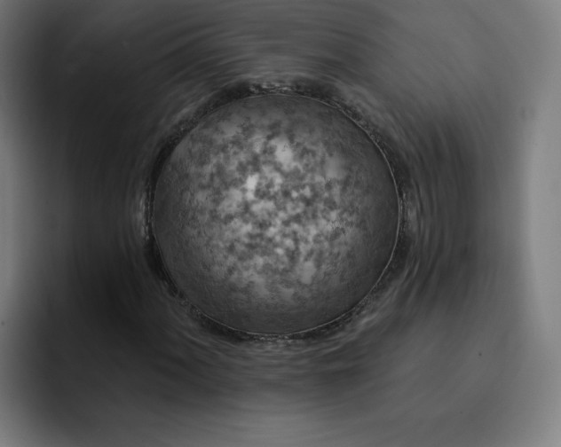 X0000093171060200710101208