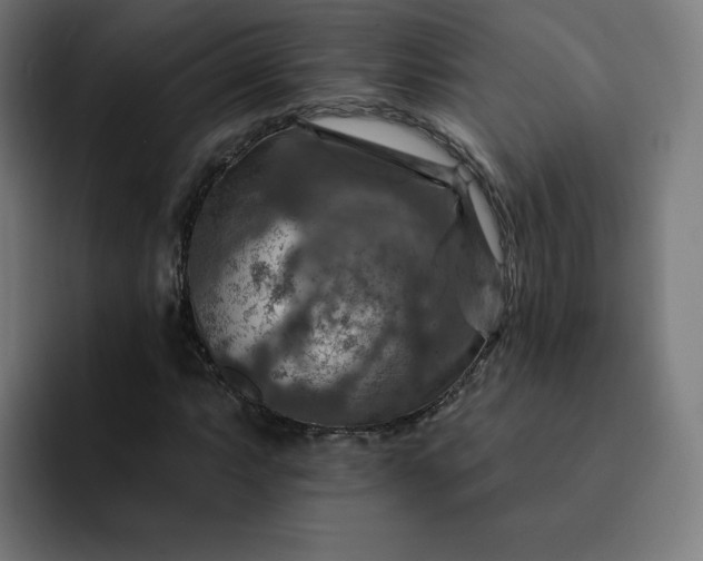 X0000093171063200710101208