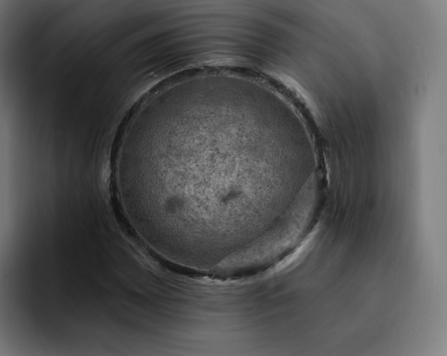 X0000093171065200710101208
